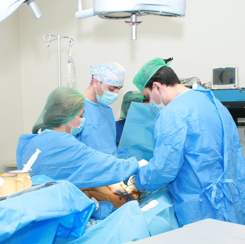 Clinic/Vscular-Surgeon-Vascular-Surgery-Armenia-Tigran-Kamalyan-Levon-Manukyan-Artur-Avetisyan-Tigran-Sultanyan_800x800.png